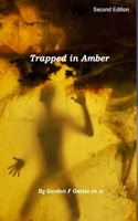 Trapped in Amber (Hardback)