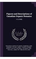 Figures and Descriptions of Canadian Organic Remains