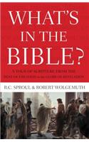 What's in the Bible