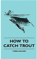 How To Catch Trout