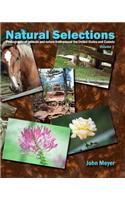 Natural Selections: (English)