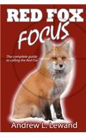 Red Fox Focus