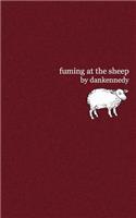 fuming at the sheep
