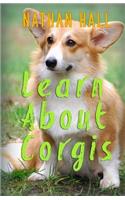 Learn About Corgis