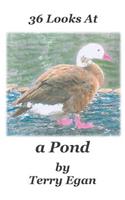 36 Looks At a Pond