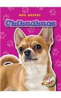 Chihuahuas