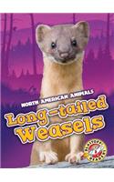 Long-Tailed Weasels