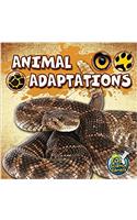 Animal Adaptations