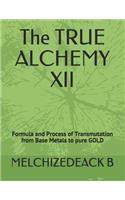 The TRUE ALCHEMY XII