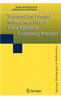 Variational and Potential Methods for a Class of Linear Hyperbolic Evolutionary Processes: (English)