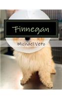 Finnegan