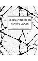 General Ledger Accounting Book