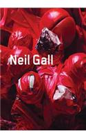 Neil Gall: Works 2007-2011