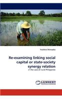 Re-examining linking social capital or state-society synergy relation