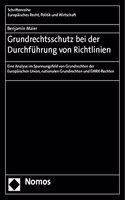 Grundrechtsschutz Bei Der Durchfuhrung Von Richtlinien: Eine Analyse Im Spannungsfeld Von Grundrechten Der Europaischen Union, Nationalen Grundrechten Und Emrk-Rechten