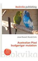 Australian Pied Budgerigar Mutation