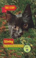 Slinky The Brave Feral Kitten