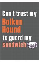 Can't trust my Balkan Hound to guard my sandwich: For Balkan Hound Dog Breed Fans