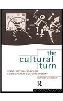 The Cultural Turn