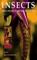 Insects: Life Cycles and the Seasons