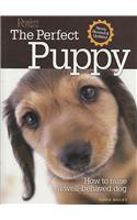 Perfect Puppy