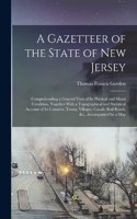 Gazetteer of the State of New Jersey: Comprehending a General View of Its Physical and Moral Condition, Together With a Topographical and Statistical Account of Its Counties, Towns, Vill