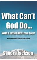 What Can't God Do Wiht a Little Faith From You: A Single Mother's Story of God's Grace