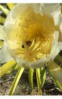 Cactus Flower Notebook