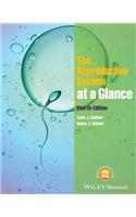 The Reproductive System at a Glance