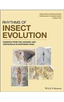 Rhythms of Insect Evolution