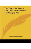 Thorax Of Insects And The Articulation Of The Wings (1909)