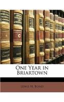 One Year in Briartown