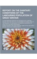 Report on the Sanitary Conditions of the Labouring Population of Great Britain; A Supplementary Report on the Results of a Special Inquiry Into the PR