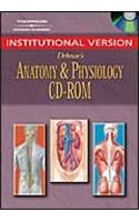 CD Network Vers-Anatomy/Physlg