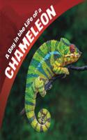 A Day in the Life of a Chameleon