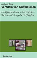 Veredeln von Obstbäumen