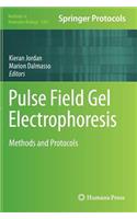 Pulse Field Gel Electrophoresis