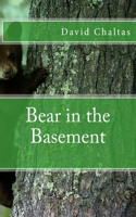 Bear in the Basement: (English)