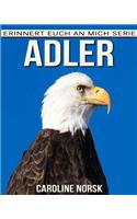 Adler