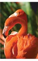 Flamingo Notebook: (12 Wildlife 150 Lined)