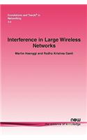 Interference in Large Wireless Networks
