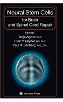 Neural Stem Cells for Brain and Spinal Cord Repair