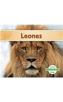 Leones