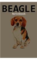 Beagle Notebook