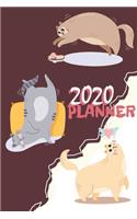 Planner 2020