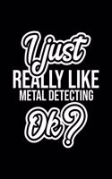 I Just Really Like Metal Detecting Ok?