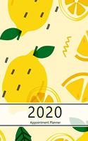 2020 Appointment Planner