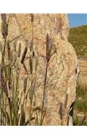 Stone Notebook Large Size 8.5 x 11 Ruled 150 Pages Softcover