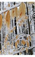 2019 Weekly Planner Winter Snowy Forest Branch 134 Pages: (Notebook, Diary, Blank Book)(2019 Planners Calendars Organizers Datebooks Appointment Books Agendas)