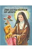 Little Flower of Jesus